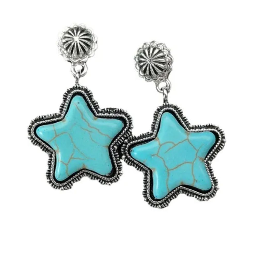 Star dangle earrings A47